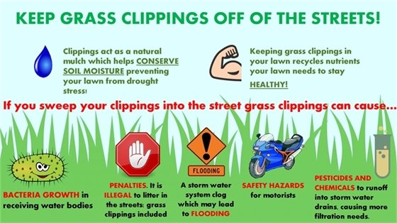 Grass Clippings Info